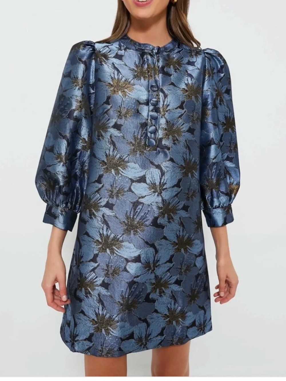 Pomander Place Blue Jacquard Samantha Dress Floral Balloon Sleeves XXL